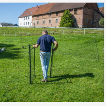 Electric Chicken Netting - tallest net is 90% more secure